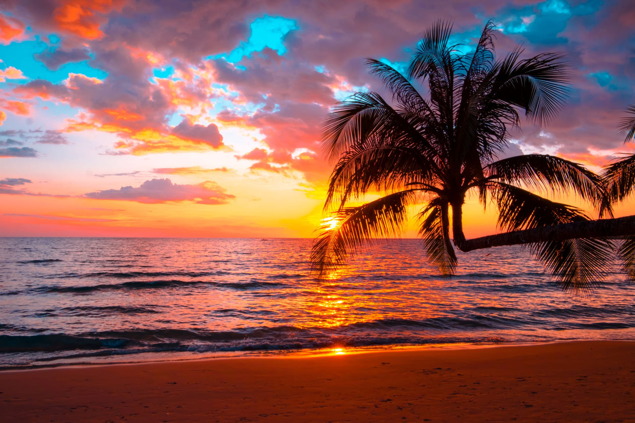Tropical Beach Sunset - Crosscountrycreations