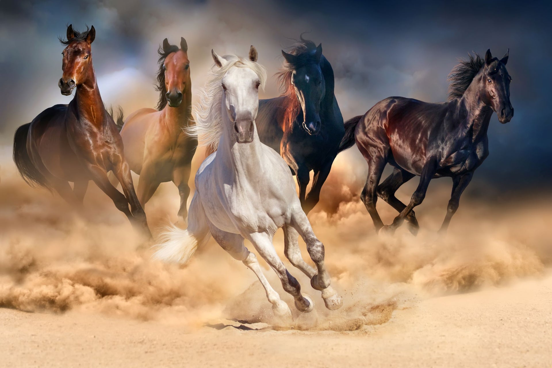 Running Horses - Crosscountrycreations